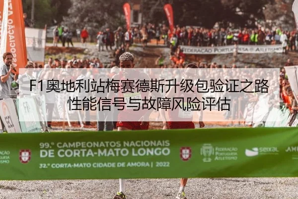 ao-di-li-zhan-mei-sai-de-si-sheng-ji-bao-yan-zheng-zhi-lu-xing-neng-xin-hao-yu-gu-zhang-feng-xian-ping-gu-2-370.jpg